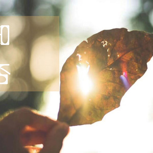 天堂一区二区三区在线观看
